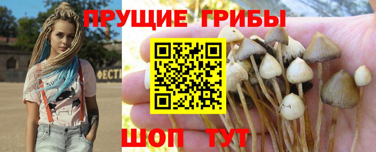 Псилоцибиновые грибы Cubensis  Вход с VPN  Миасс 