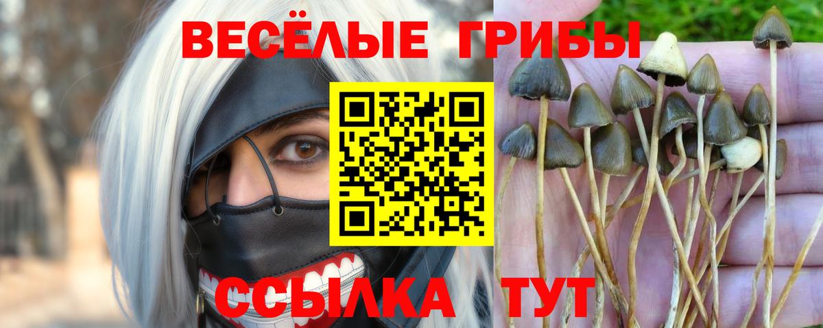 Псилоцибиновые грибы мухоморы Миасс